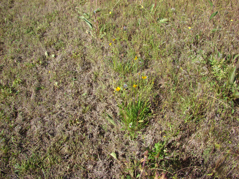 DSC03393
