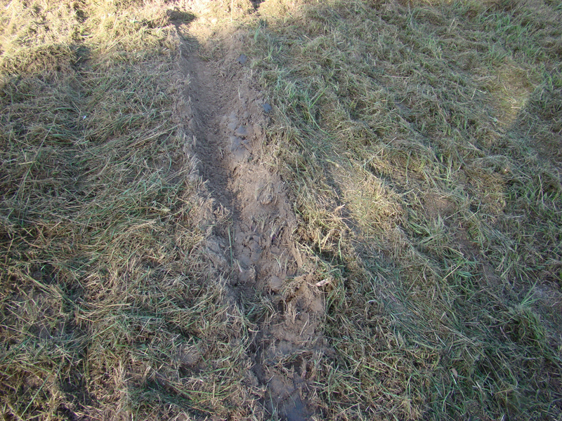 DSC03406