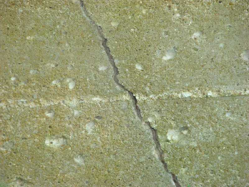 DSC03429