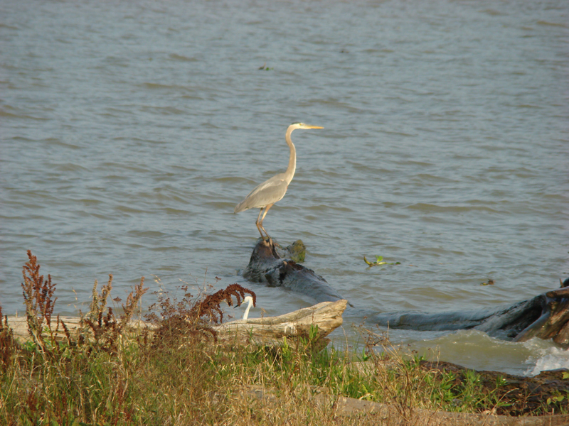 DSC03471