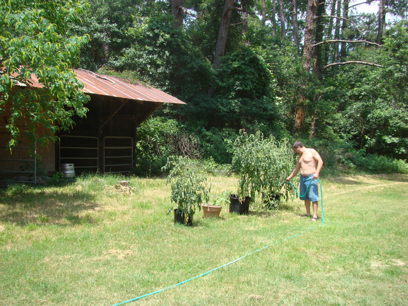 DSC03474