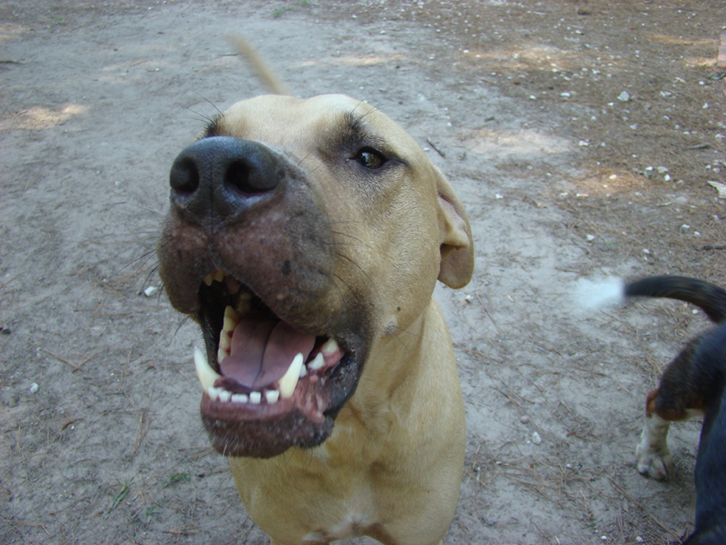 DSC03553