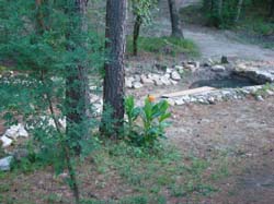 DSC03595