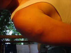 DSC03596