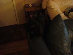 DSC03599