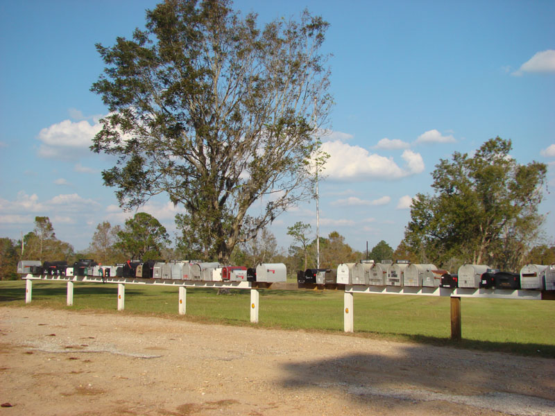 DSC07038