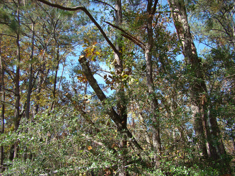 DSC07140
