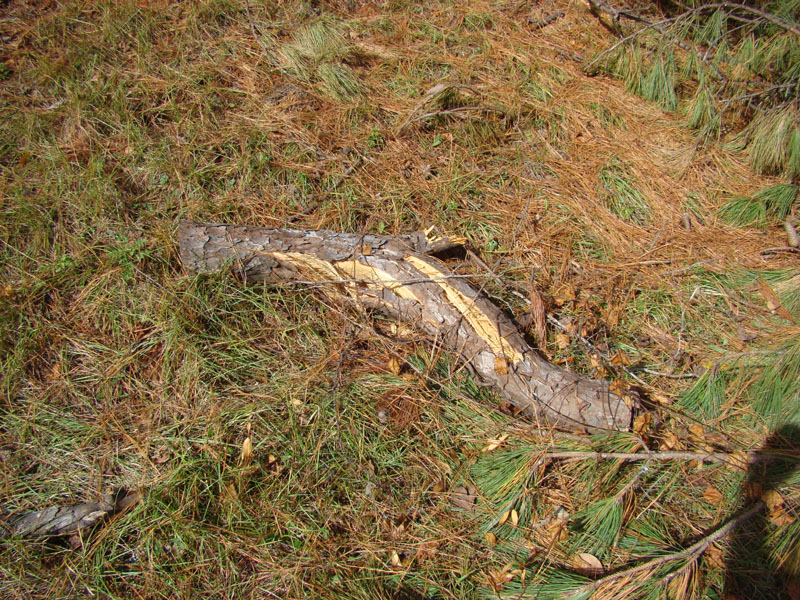 DSC07200