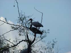 DSC07042