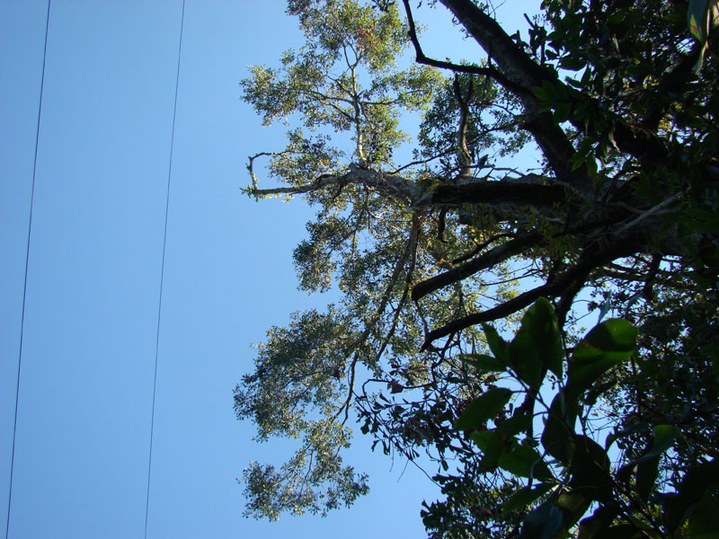 DSC06838