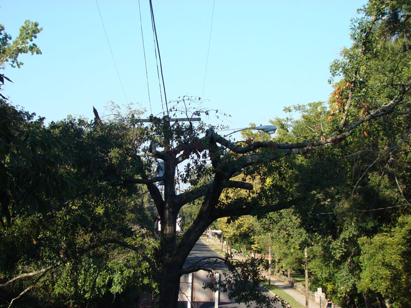 DSC06858