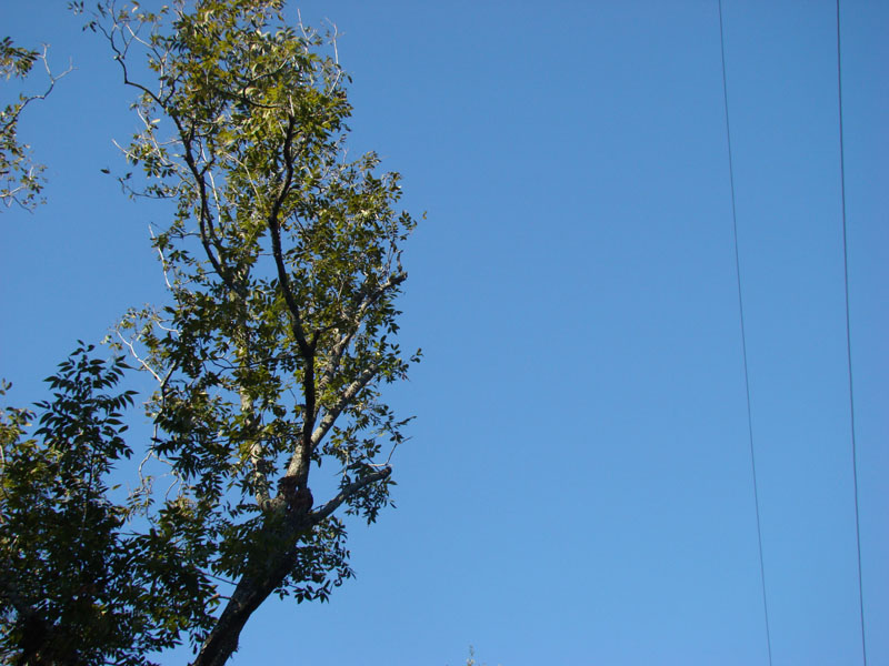 DSC06865