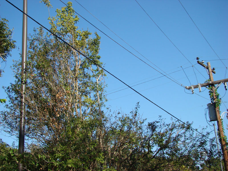 DSC06876