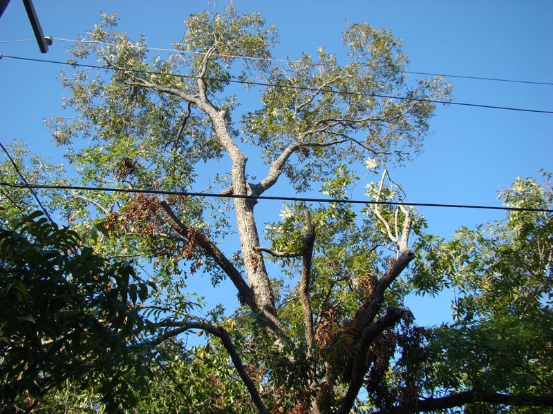 DSC06881