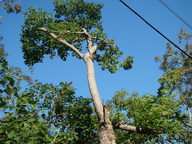 DSC06884
