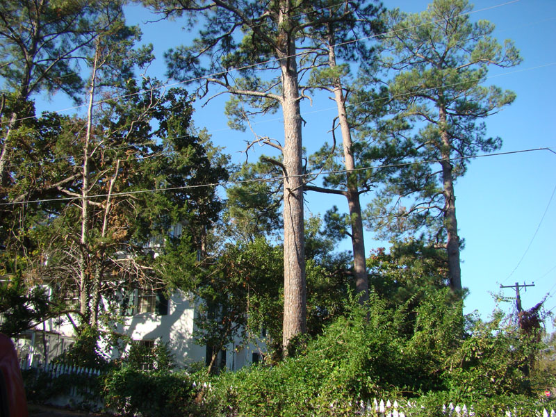 DSC06892