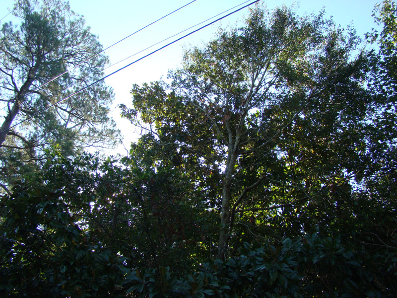 DSC06896