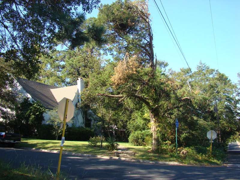 DSC06900