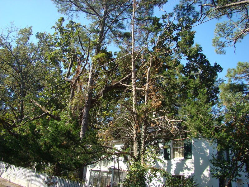 DSC06906