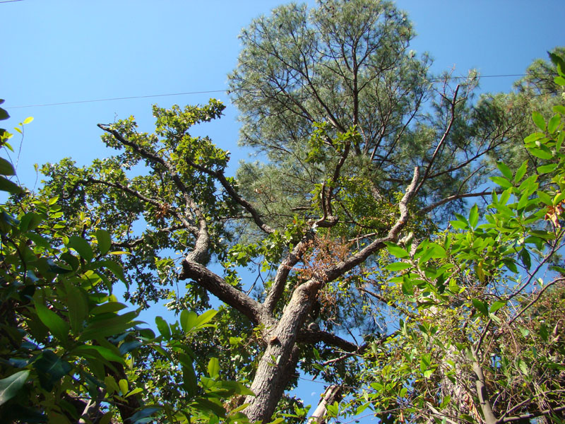 DSC06908