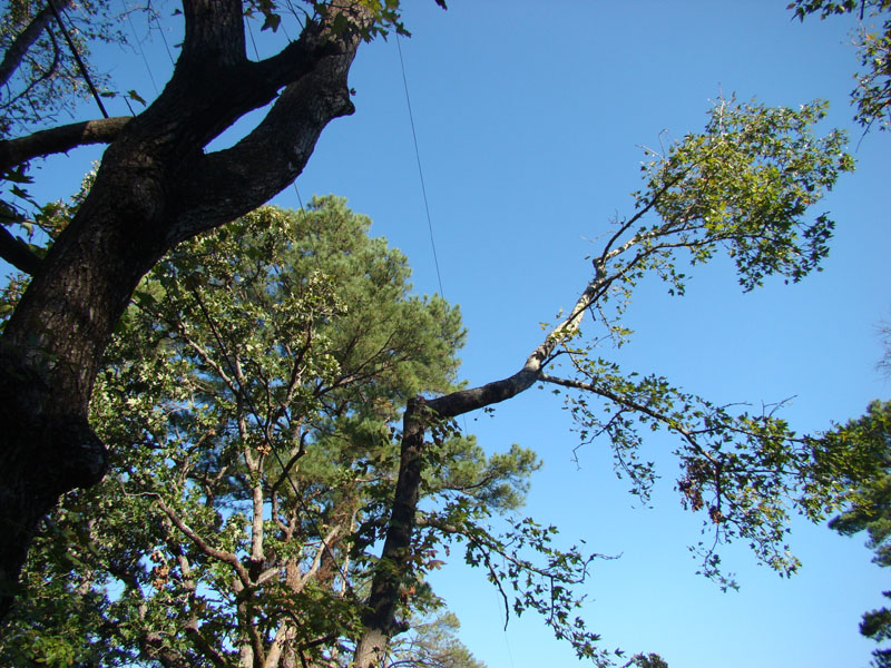 DSC06909