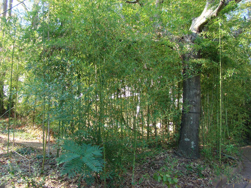 DSC06916