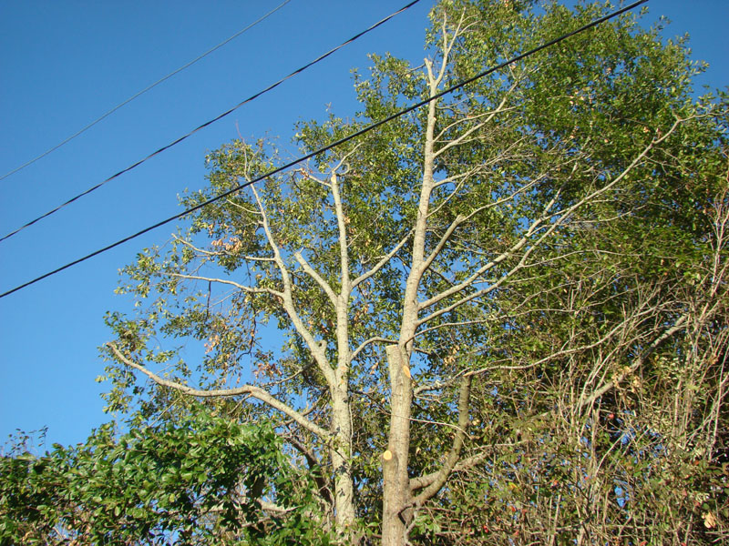 DSC06940