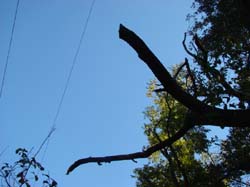 DSC06850