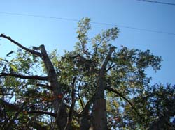 DSC06870