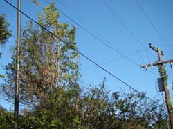 DSC06876