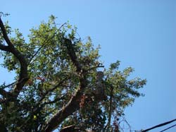 DSC06899