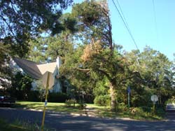 DSC06900