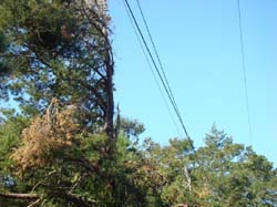 DSC06901