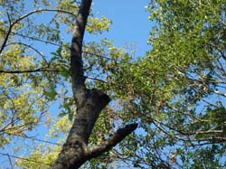DSC06919