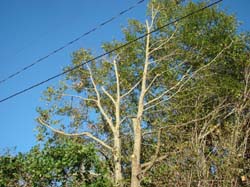 DSC06940