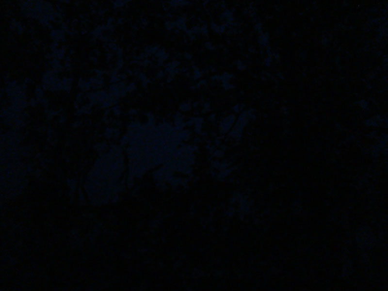DSC08701