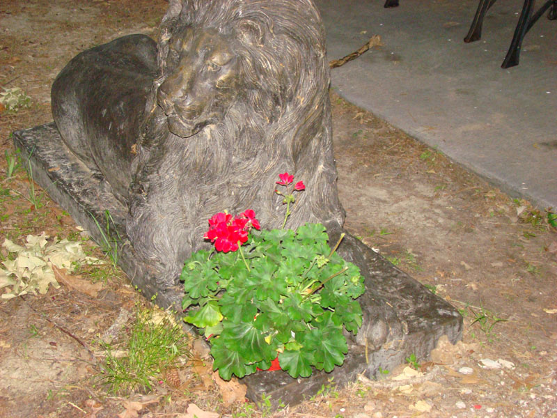 DSC08730