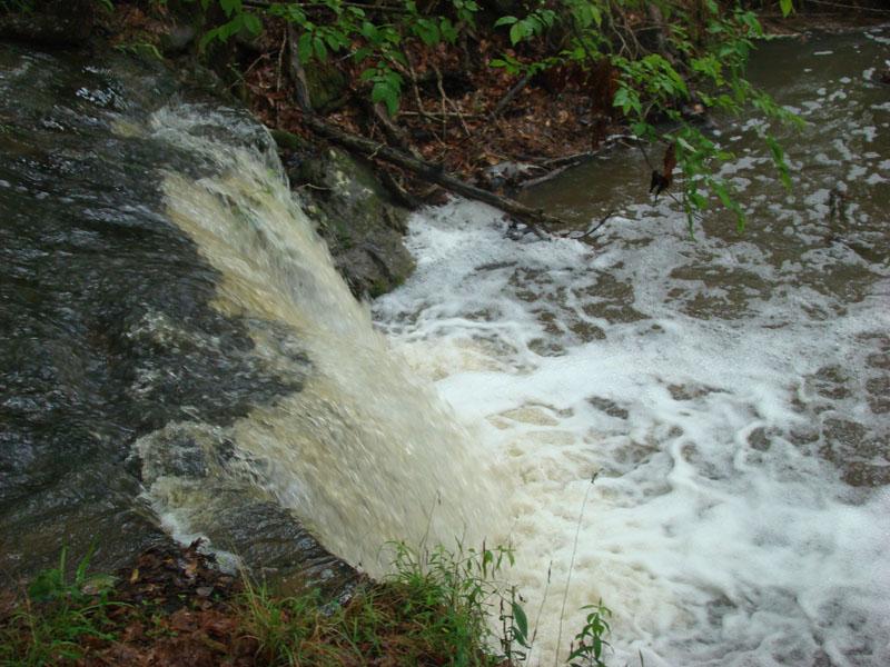 DSC08771