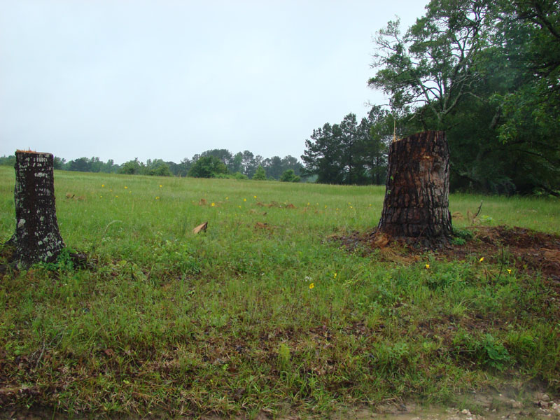 DSC08906