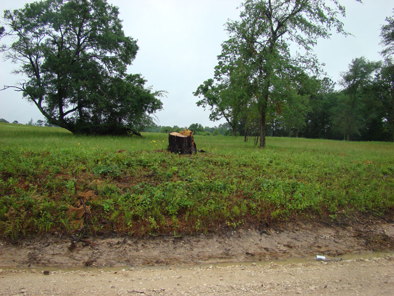 DSC08907