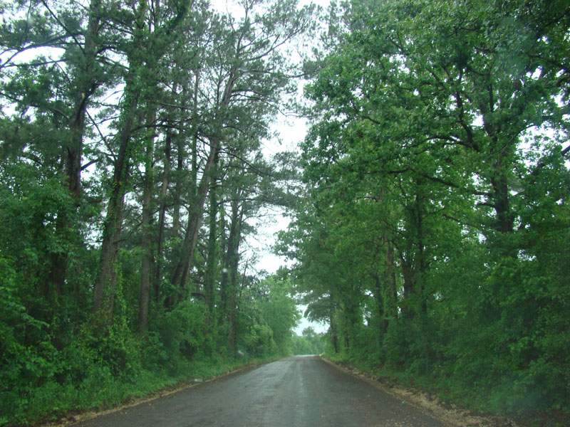 DSC08911