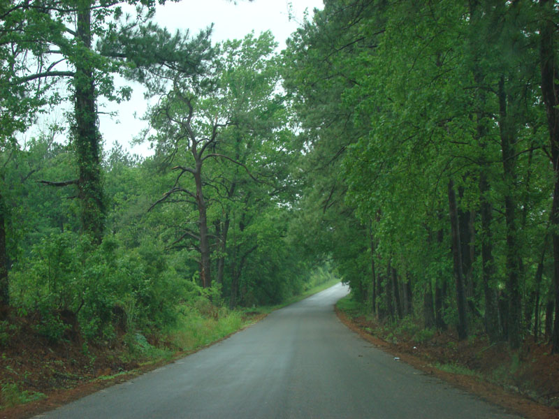 DSC08919