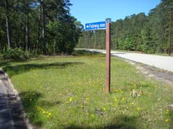 DSC08806