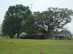 DSC08900