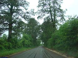 DSC08910