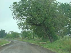 DSC08914