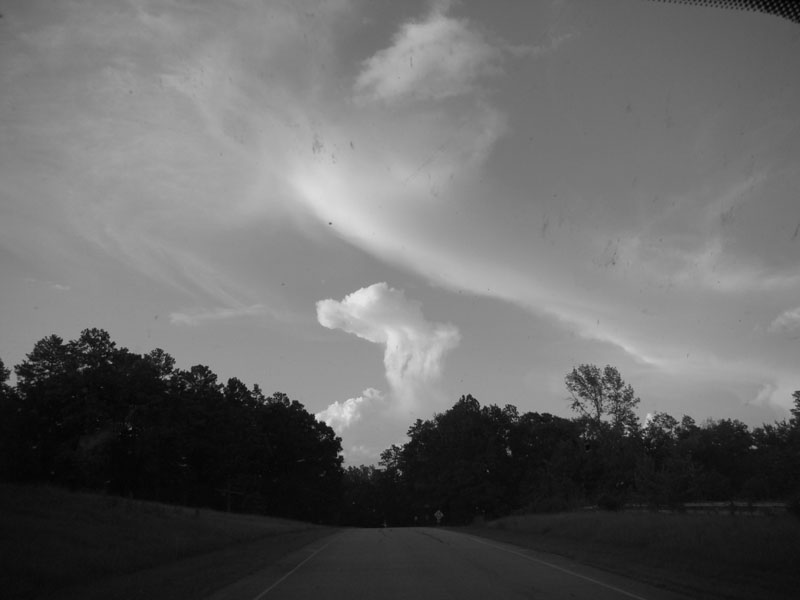 DSC00113