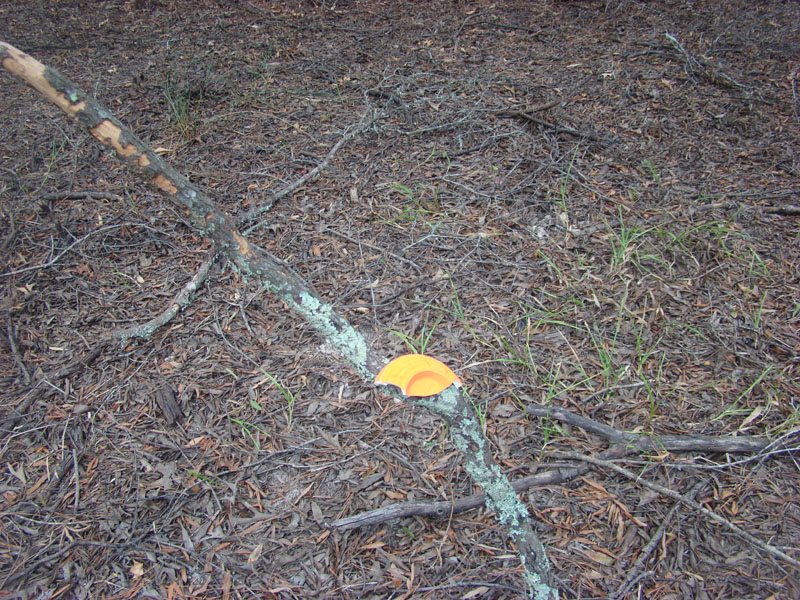 DSC00131