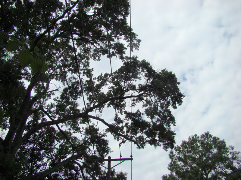DSC00183