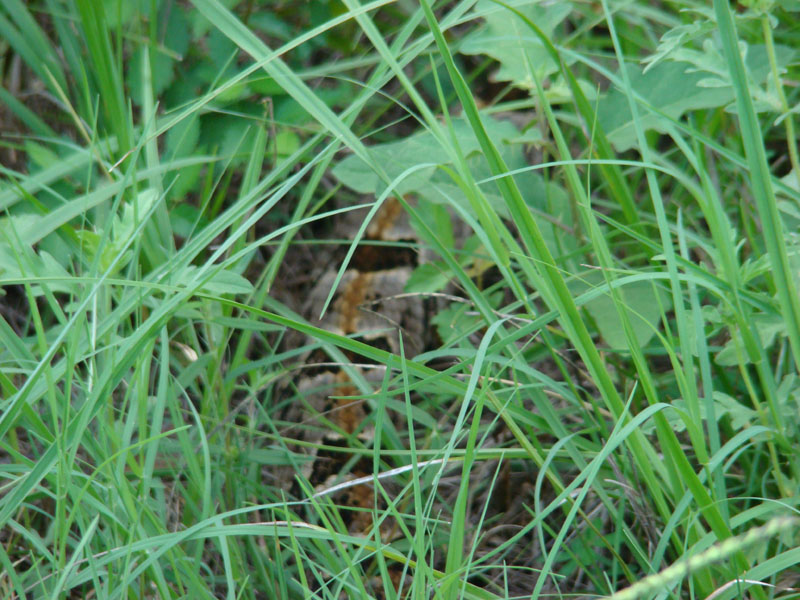 DSC00206